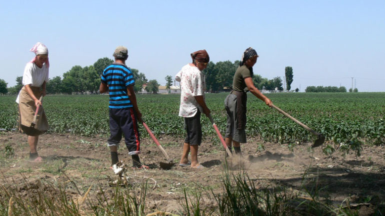 Reglementarea activității desfășurată de zilieri. Modificările legislative au intrat în vigoare