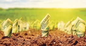 Fermierii din Moldova au primit 232 mil. lei drept subvenţii din partea statului din suma totală de 900 mil. lei, promisă pentru 2016