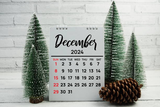 Ultima zi operațională pentru încasări şi plăti bugetare – 30 decembrie 2024